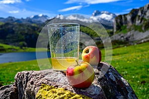 Glass of natural Asturian cider made fromÂ fermented apples with view on Covadonga lake and tops of Picos de Europa mountains,